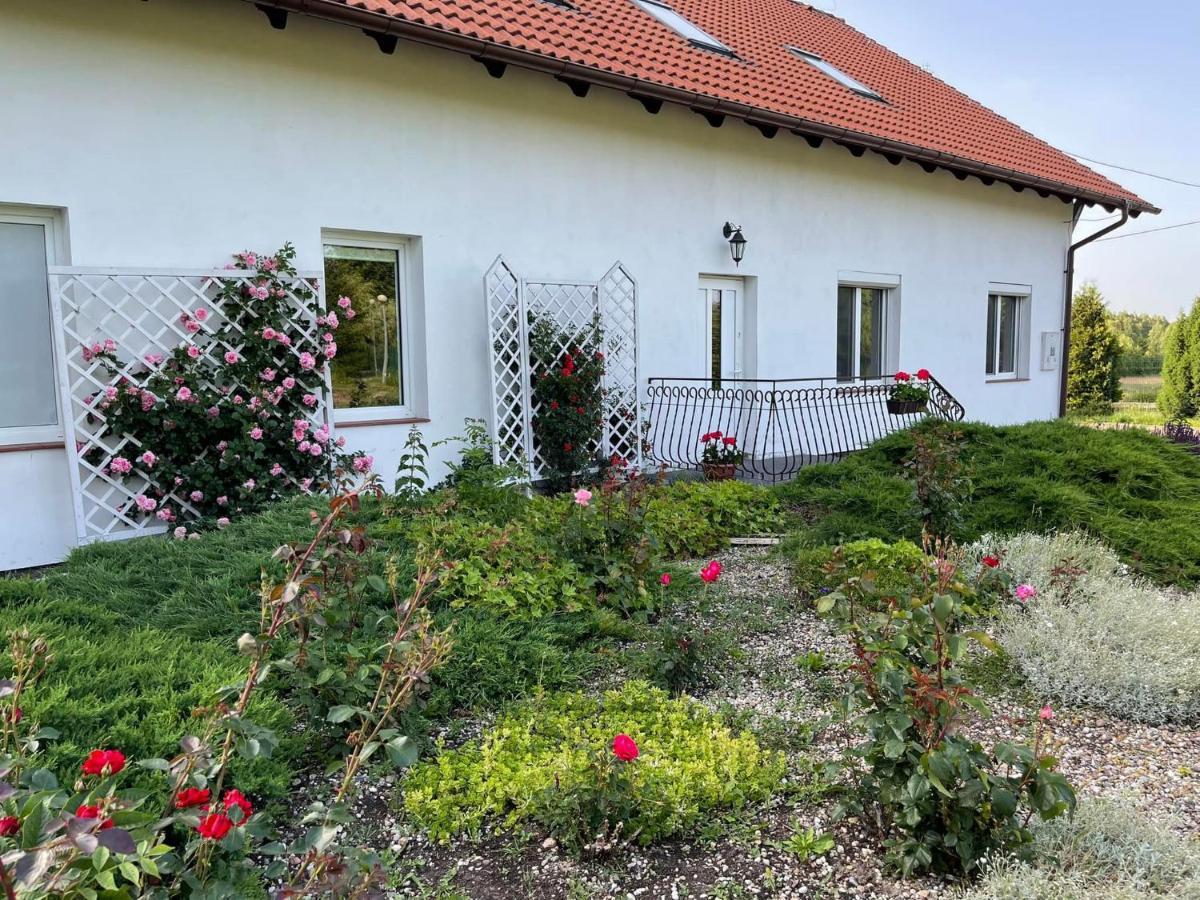 Gospodarstwo Agroturystyczne Zasadkowe Bory Rogowo  Exterior foto